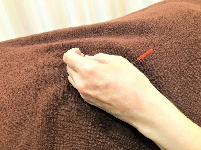 逍遥堂