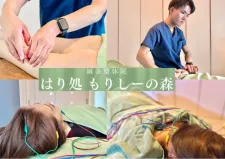 鍼灸整体院 はり処もりしーの森
