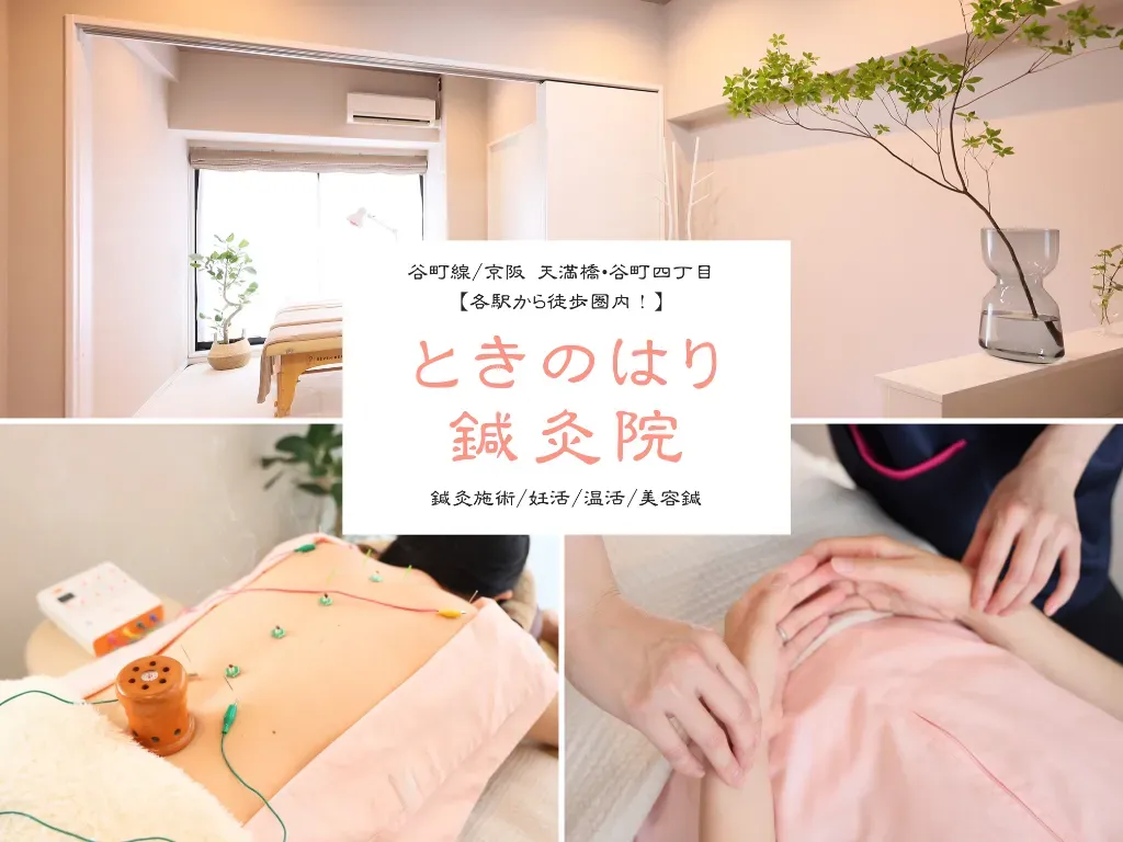 ときのはり鍼灸院