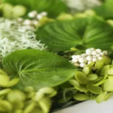 Natural Green
