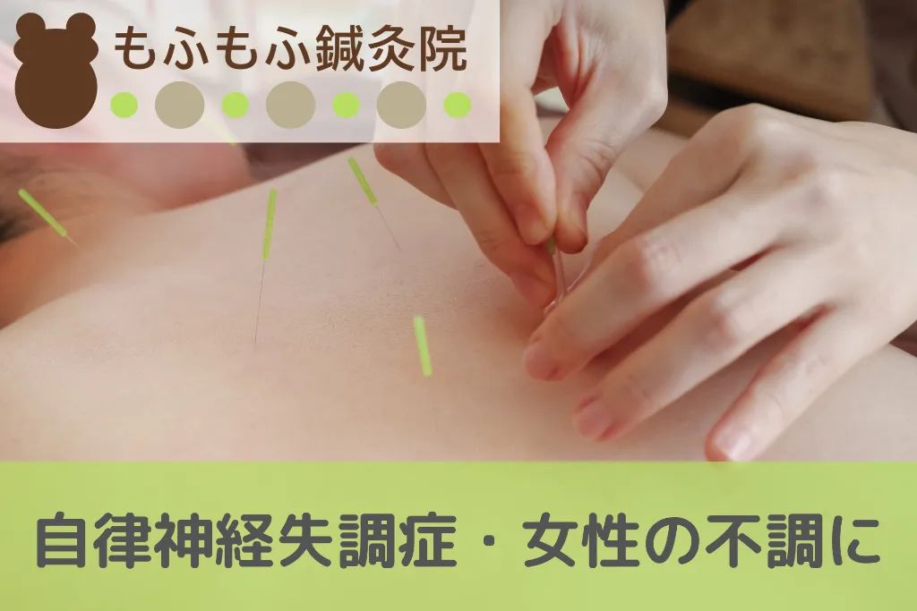 もふもふ鍼灸院