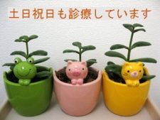 湧泉鍼灸院