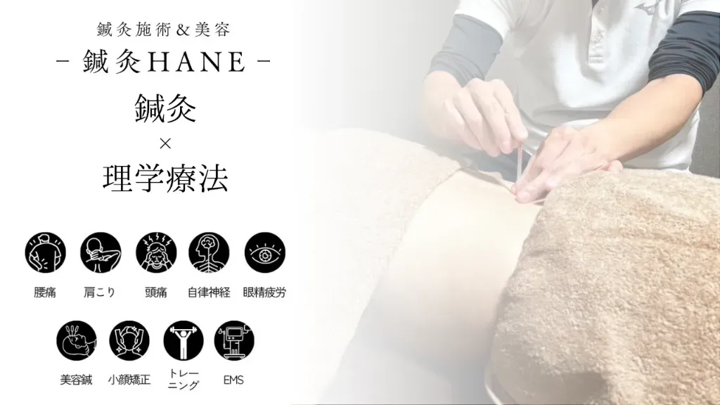 鍼灸HANE