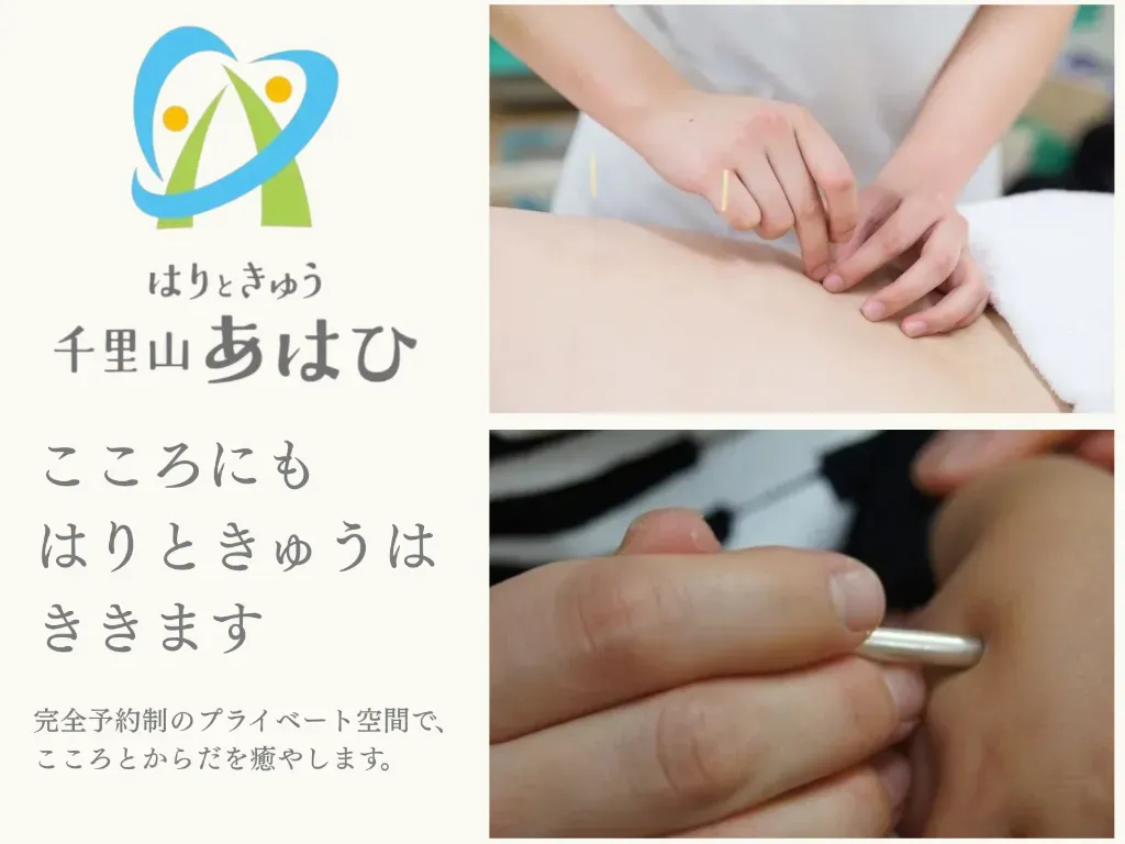 はりときゅう 千里山あはひ