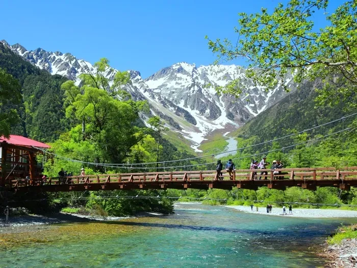 岡接骨院・鍼灸院