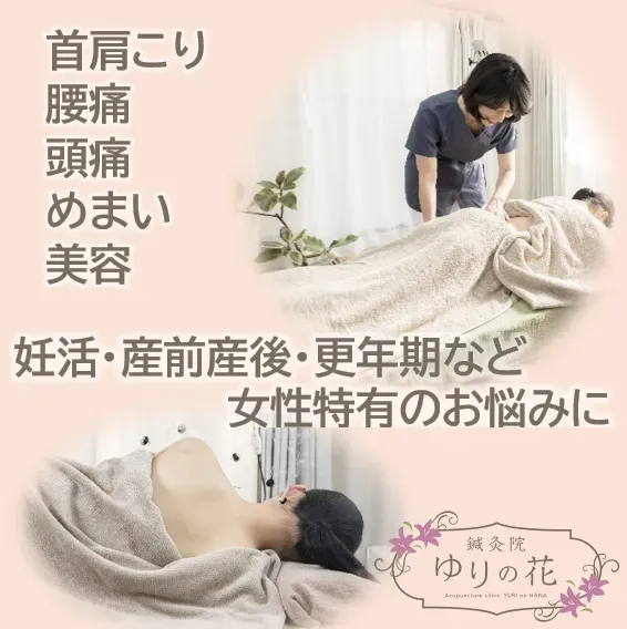 鍼灸院ゆりの花