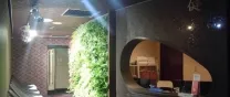 健美齢