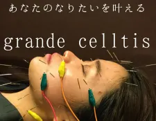 グランデセルティス