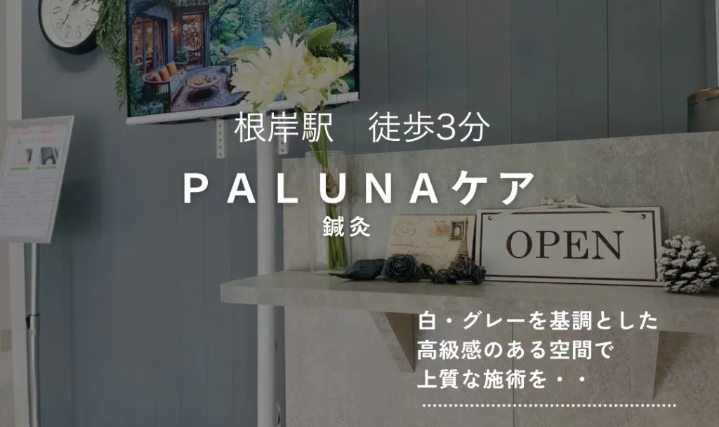 PALUNA パルナケア 鍼灸