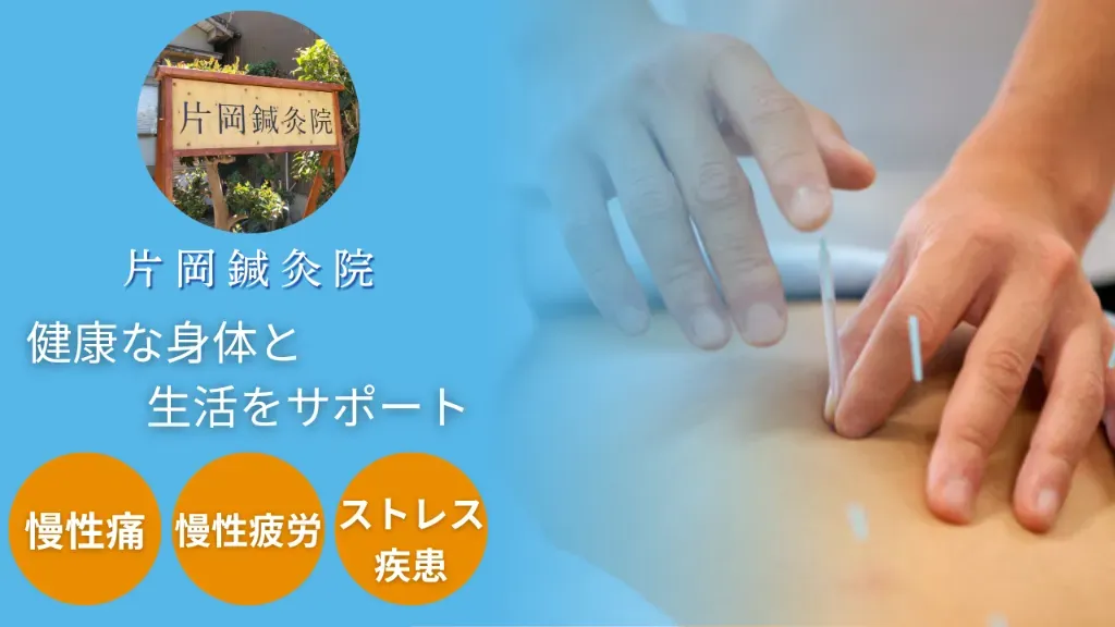 片岡鍼灸院