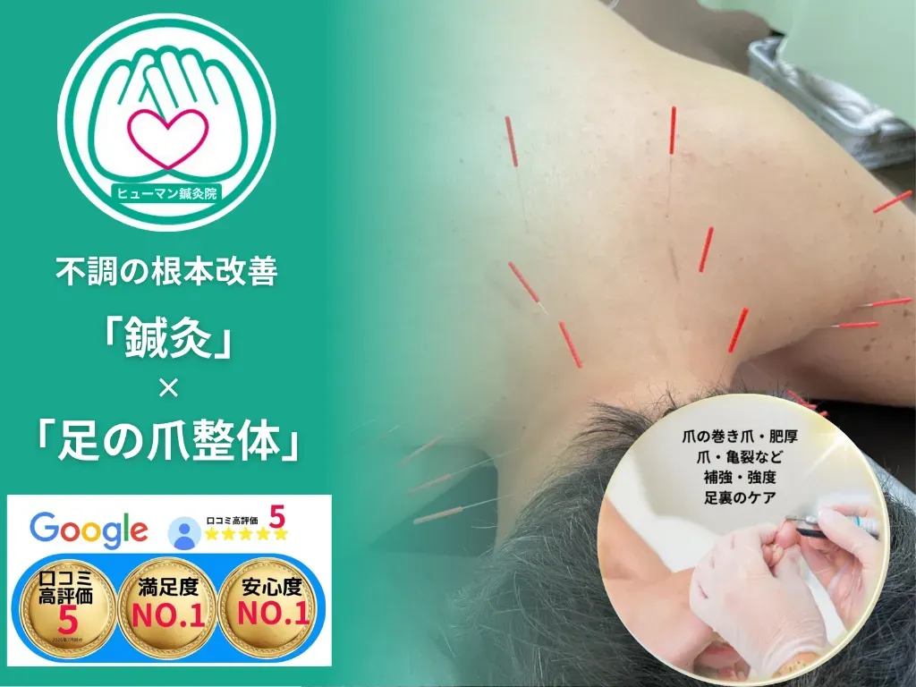 ヒューマン鍼灸接骨院