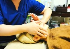 和泉の森 鍼灸整骨院