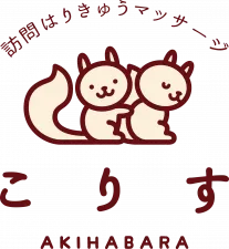 訪問はりきゅうマッサージこりす*秋葉原