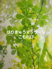 はりきゅうマッサージ こもれび