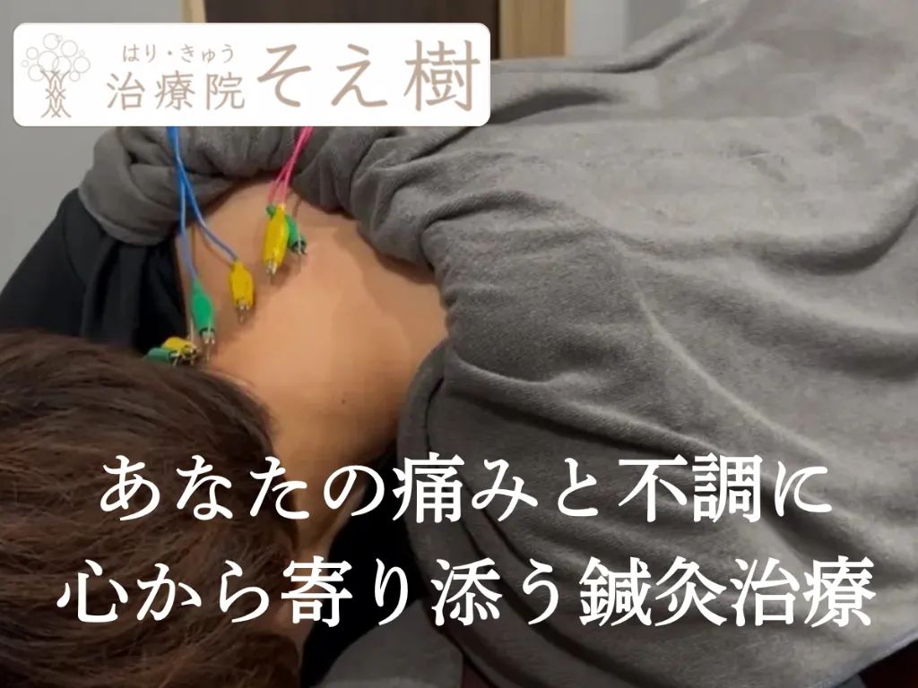 はりきゅう治療院そえ樹