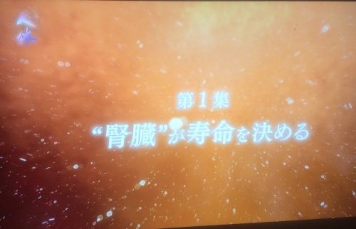 桂林堂鍼灸整骨院　日吉院のこだわりポイント