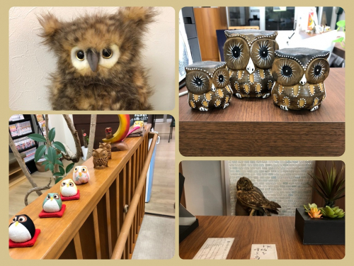 ふくろう針灸院のこだわりポイント