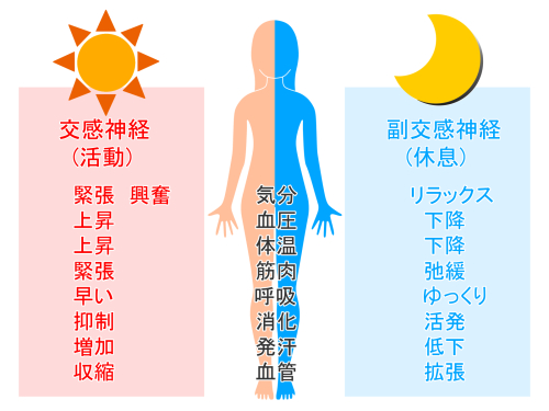 アユカ鍼灸整体院のこだわりポイント