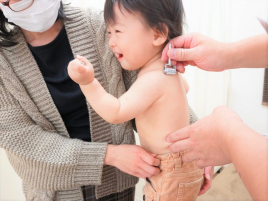 接骨鍼灸院しろくま堂 小児鍼のメニュー画像