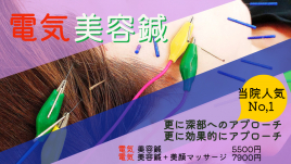 すみれ鍼灸整骨院 電気美容鍼＋美顔マッサージのメニュー画像