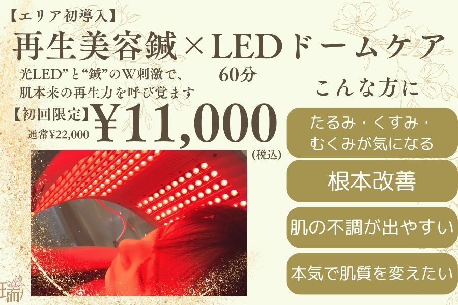 【美容鍼専門サロン】瑞‐鍼灸院 【初回限定】エリア初導入‐最新光エステ美容鍼60分のメニュー画像